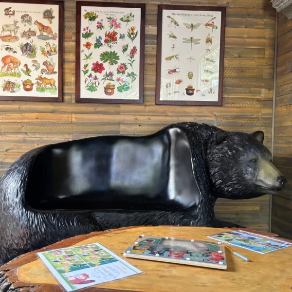 Inside a cabin with a bear chair, animal and plant posters, and environmental activities